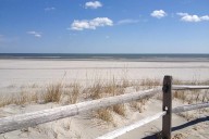 Man Hears Screaming by the Water, Swims Hundreds of Feet to Rescue Young Woman