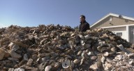 P.E.I. fishers push for immediate relief as parasites cut into catches