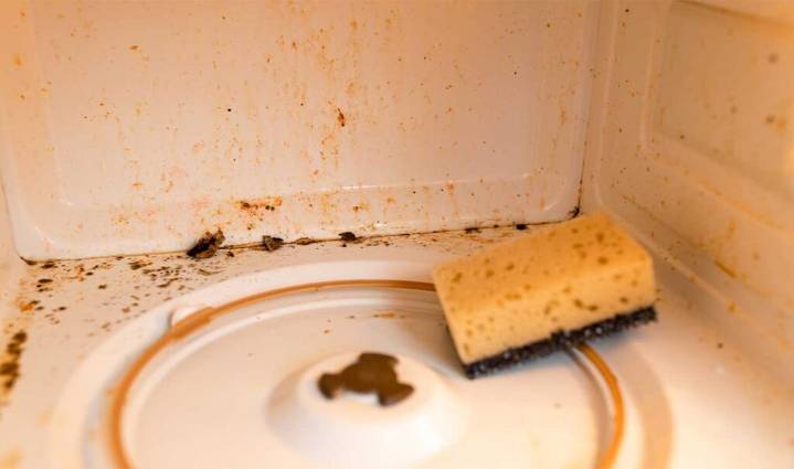 Bacterias en los microondas: ¿mito o riesgo real?