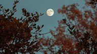 Calendario lunar octubre 2025: descubre cuándo habrá luna llena este mes