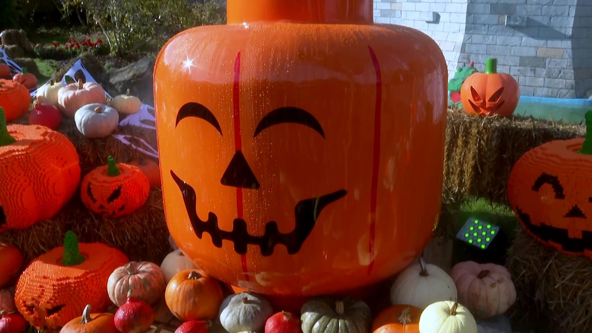 Brick or Treat: Legoland Windsor reveals 45,000 brick pumpkin patch