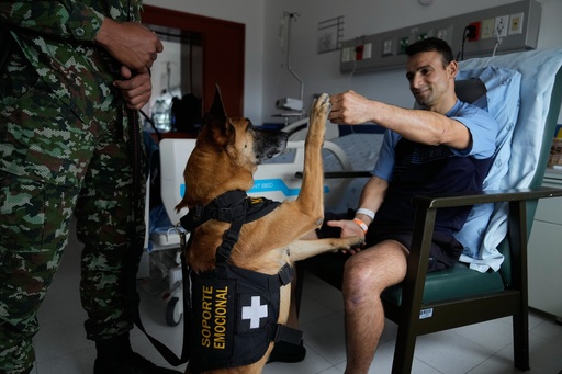 "Fuerza peluda": los perros que dan apoyo emocional a soldados heridos en el conflicto colombiano