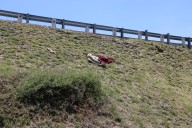 Abandonan cadáver de mujer envuelto en cobijas al lateral de la autopista Puebla