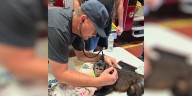 Punta Gorda fire crew attempts to save family’s pet monkey