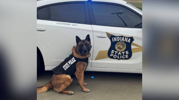 Indiana State Police K-9 Barker dies unexpectedly