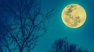 Colombia se prepara para disfrutar de la superluna llena este 6 de octubre de 2025