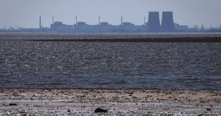 ONU busca treguas para restaurar energía en planta nuclear de Zaporiyia