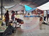 Tianguis de Atlapexco disminuido por la lluvia