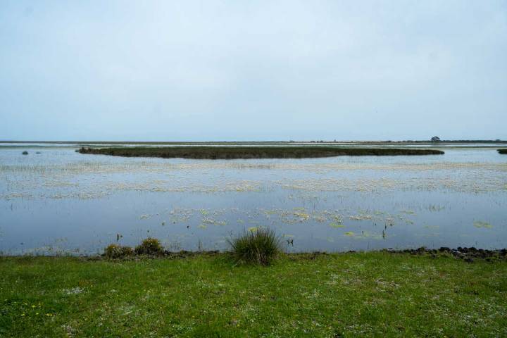 El Consejo de Ministros aprueba este martes las ayudas de renaturalización del entorno agrícola de Doñana