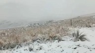 Puno: nevadas de hasta diez centímetros afectan alimentación de ganado en zonas altas de Carabaya
