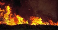 Coconino National Forest responds to small wildfire by C.C. Cragin Reservoir