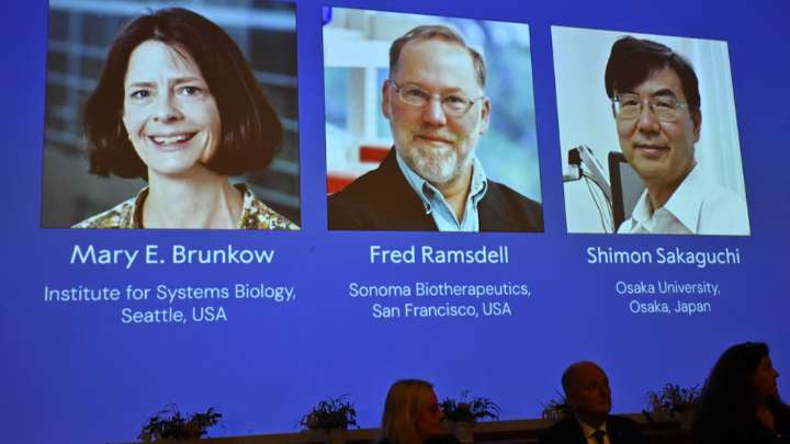 Nobel de Medicina reconoció el hallazgo de mecanismo que previene enfermedades autoinmunes