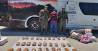 Marihuana camuflada entre frazadas: Gendarmería descubrió más de 31 kilos en un colectivo que iba de Salta a Mendoza