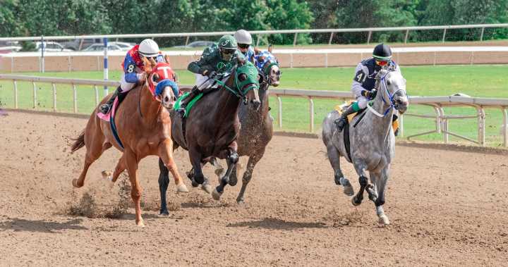 La historia de las carreras de caballos: del hipódromo clásico a la era moderna