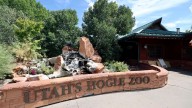 'A rare occurence': Hogle Zoo achieves perfect score from Association of Zoos and Aquariums