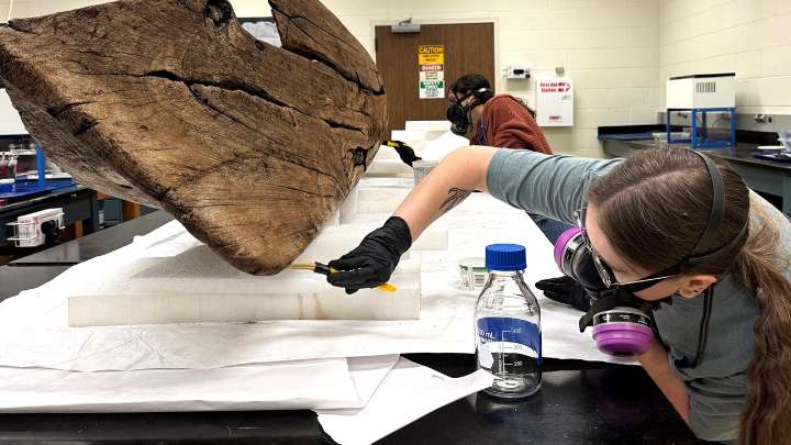 Wooden canoe found in Fort Myers, Florida, after Hurricane Ian still puzzles experts