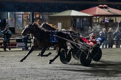 Beau Jangles blazes to Breeders’ Crown glory | Exeter Lakeshore Times Advance