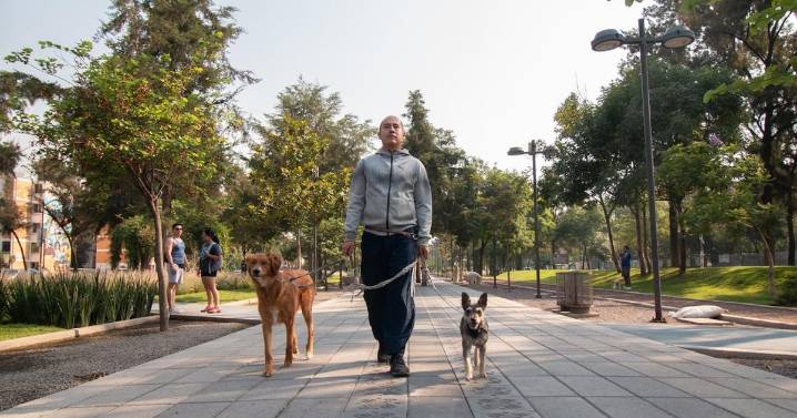 ¿Cuál es la alcaldía más segura de CDMX? INEGI reporta percepción de seguridad