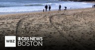 Police say teens doing donuts on Massachusetts beach get stuck in rising tide
