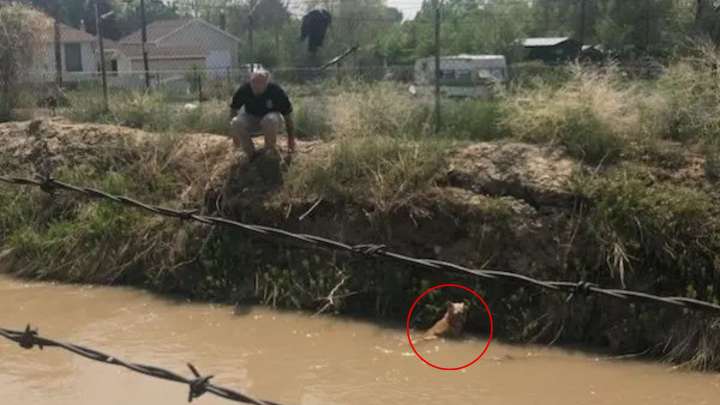 Couple’s Curious Find In Utah Canal Turns Into A Shocking Revelation
