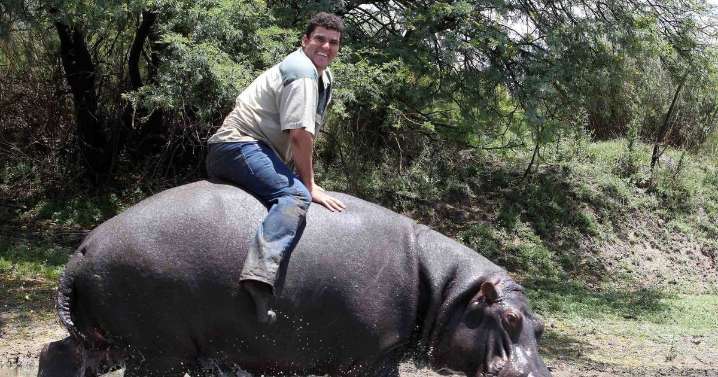 Farmer who trusted pet hippo, Humphrey 'with his heart' paid the ultimate price