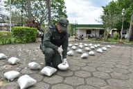 NARCOTRÁFICO! El can “Roque” detectó casi 50 kilos de marihuana en Corrientes (IMÁGENES)