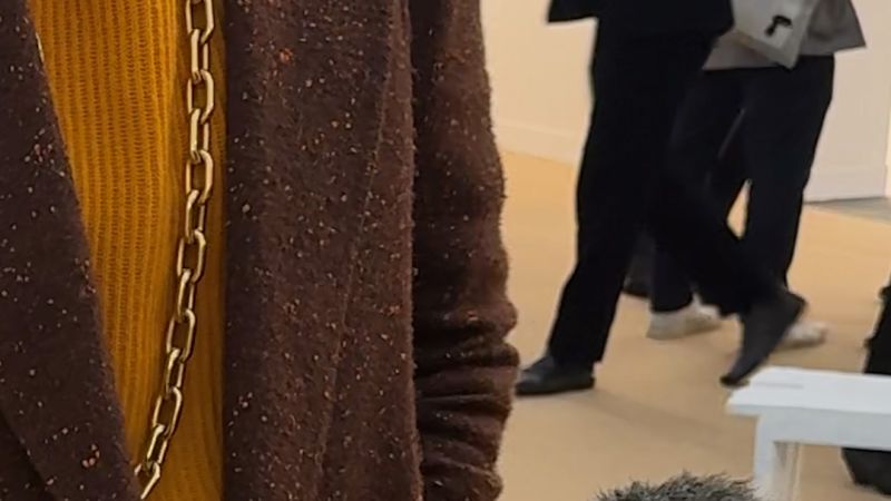 We took our big fluffy mic to frieze art fair