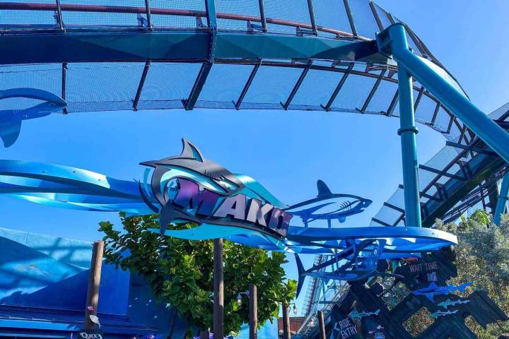 Woman Sues SeaWorld Orlando Claiming Duck Hit Her Face on Roller Coaster