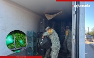 Ejército asegura una tonelada de metanfetamina escondida en cajas de chiles