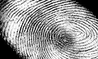Human bones discovered in wooded area in Upstate New York, state cops say