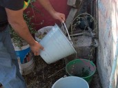 Morelos sufre por falta de agua y la descuida