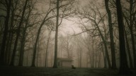 Bosques fantasma: la IA desvela el esqueleto de la costa estadounidense