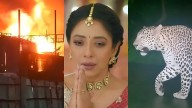 From Anupamaa to Bigg Boss: Shocking and deadly incidents from Hindi TV sets