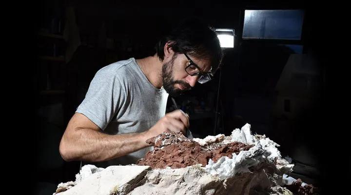 El Conicet sigue haciendo historia: hallan restos de uno de los dinosaurios más antiguos del planeta
