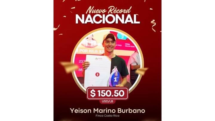 Café de San Pedro de Cartago alcanzó récord nacional en la subasta de la Mejor Taza 2025