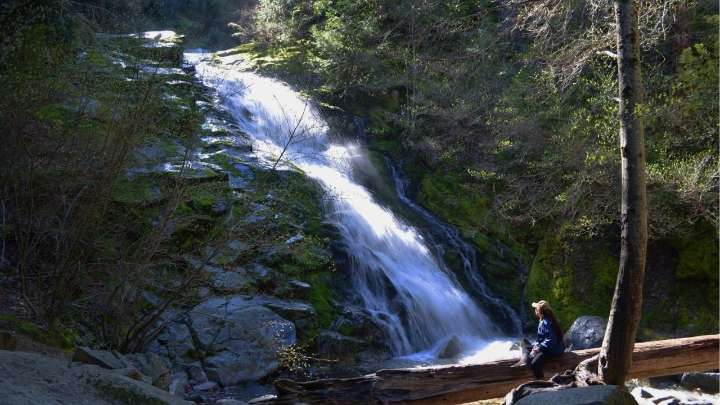 Shutdown Forces Shasta, Siskiyou, Lassen National Forests and Parks to Reduce Services