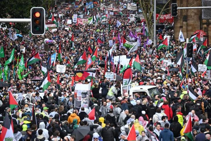 Court throws out anti-protest laws after Palestine Action Group challenge 