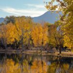 Where to get the best views of Arizona’s fall colors