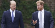 Harry's lawyers claim investigators paid to spy on William and Kate
