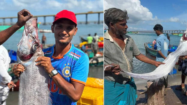 "Doomsday Fish" reaches Indian coast again: Omen of major disaster to come? Concerns continue