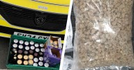Five arrests and drugs seized in Plymouth