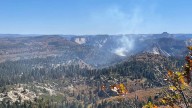 Lightning strike causes wildfire in Zion National Park, prompting multiple closures