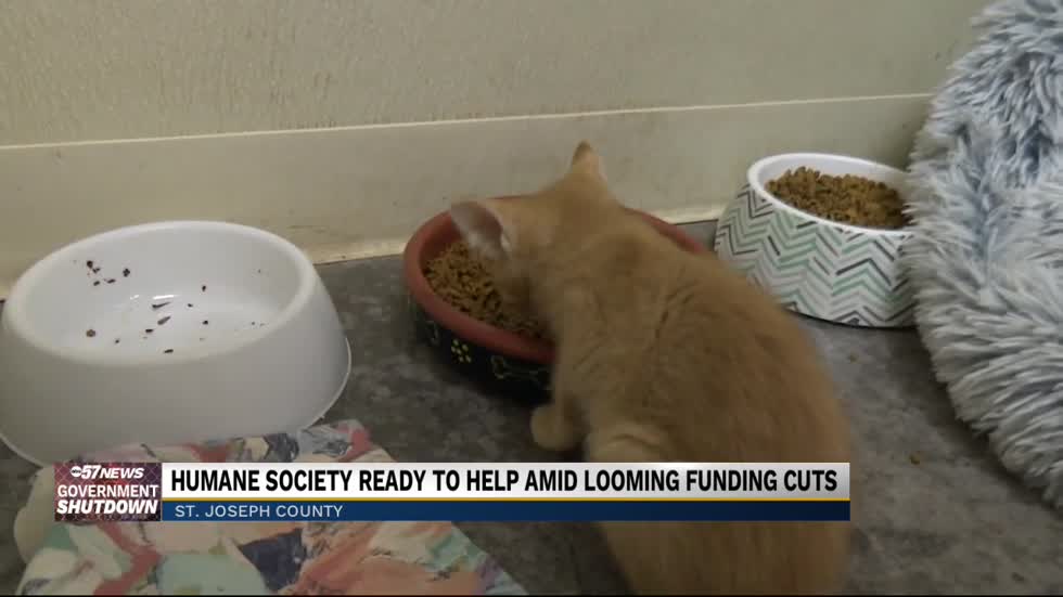 Humane Society braces for impact as SNAP benefits will soon expire