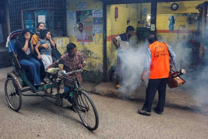 Dengue cases surge across Bangladesh as experts call for urgent action
