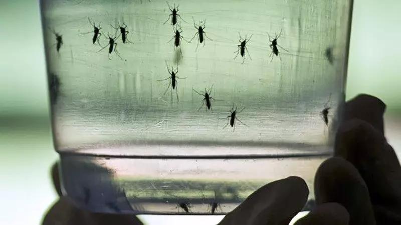 Veracruz, en tercer sitio por contagios de dengue: SSA