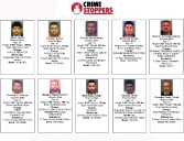 Los más buscados de la semana
