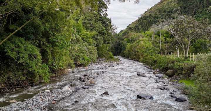 Alcaldía realizará el lanzamiento del programa de Pagos por Servicios Ambientales