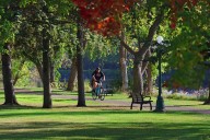 A ride in the park