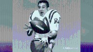 LSU to honor football legend Doug Moreau at homecoming game