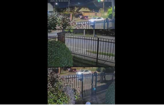Vecinos reportan balacera en Las Rastras: no hubo lesionados